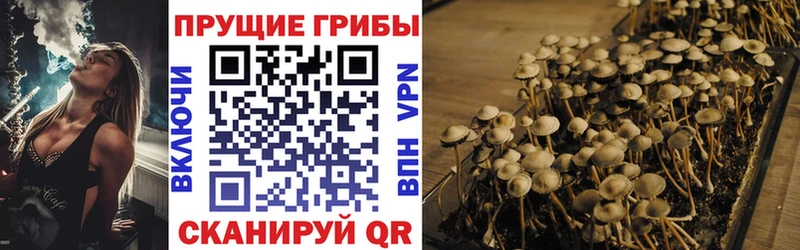 KRAKEN онион  Бирюсинск  Галлюциногенные грибы Psilocybine cubensis 