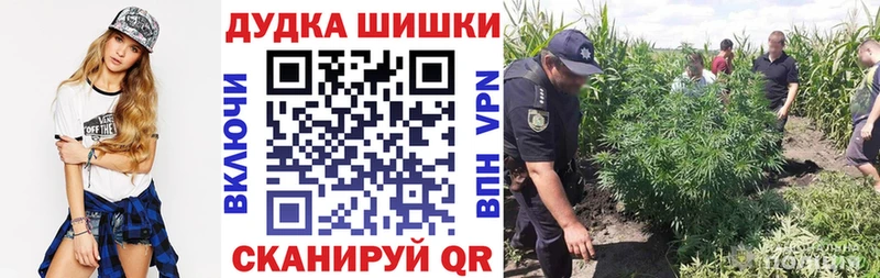 где продают   Бирюсинск  Конопля OG Kush 